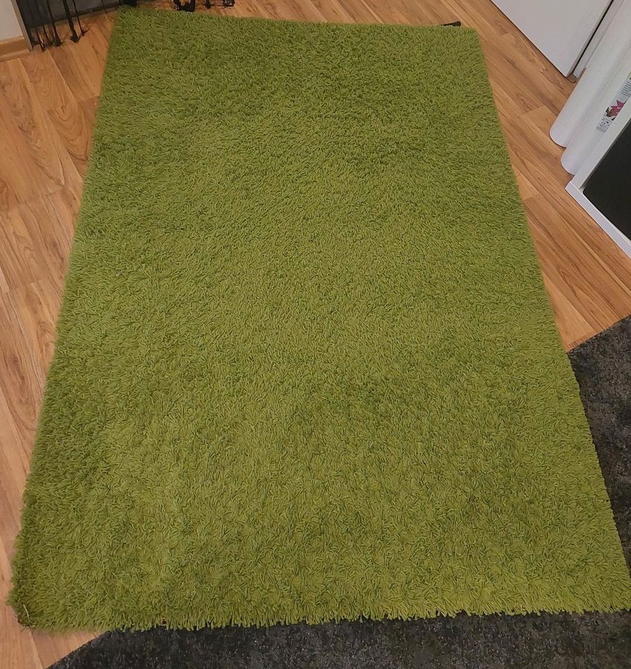 Ikea Teppich 195×133 cm, grün, langflor in Oberaula