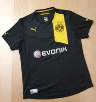 Trikot 2012/2013 BVB Borussia Dortmund Damen Größe 42 Hessen - Darmstadt Vorschau