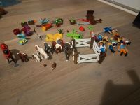 Playmobil Pferde Bauernhof viel Zubehör Ponyhof Adventskalender Wandsbek - Hamburg Eilbek Vorschau