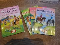 Bücherbox 3 Bücher Leselöwe Ponys, Fohlen, Pferdeträume Antolin Nordrhein-Westfalen - Mettmann Vorschau
