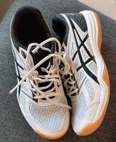 asics upcourt 4 Hallenschuhe Turnschuhe Gr. 40,5 Baden-Württemberg - Mulfingen Vorschau