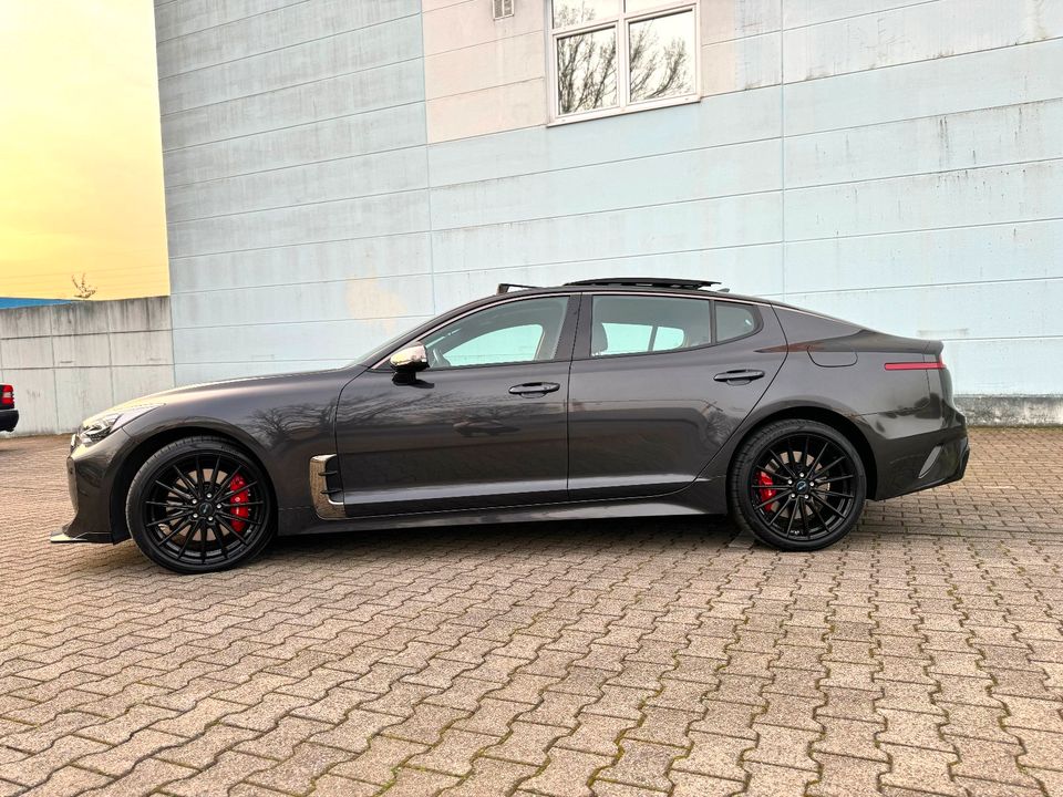 Kia Stinger GT 4WD*PANO*HK*KEY-GO*360°*H-UP*ACC* in Gladbeck