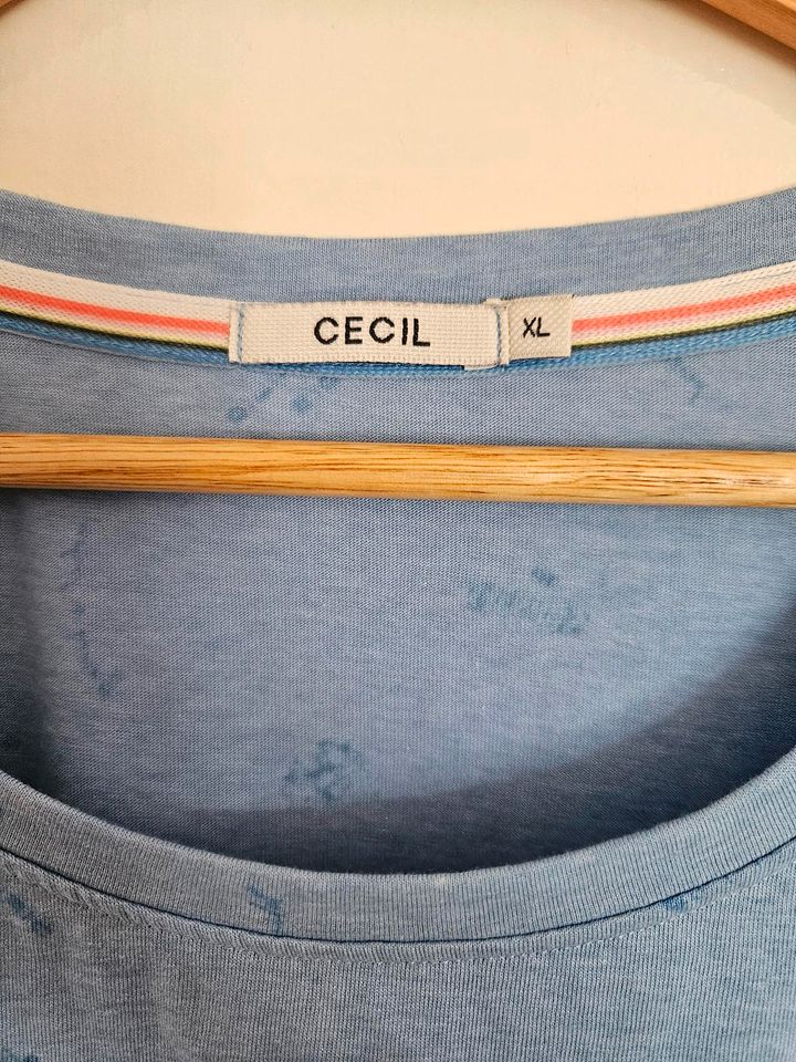 Cecil Shirt Bluse   XL 46 hellblau in Putbus