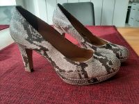 Pumps Snake Bayern - Kirchseeon Vorschau