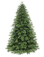 Luxus Giulia Grillo Weihnachtsbaum 180 cm Nordrhein-Westfalen - Aldenhoven Vorschau