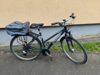 Damenfahrrad Stevens + Fahrradtasche + Haustierkorb Hessen - Wiesbaden Vorschau