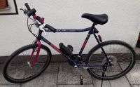 Mountain-Bike 26 Zoll Bayern - Frontenhausen Vorschau