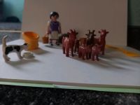 Playmobil-Wirtin mit Ziegen Sachsen-Anhalt - Prödel Vorschau