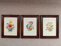 3 Bilder Blumen Bilderrahmen DDR späte 70er o.frühe 80er vintage Sachsen - Nünchritz Vorschau