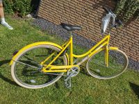 ⭐ Chiquita Stadtfahrrad Cityfahrrad Fahrrad *NEU*⭐ Rheinland-Pfalz - Gebhardshain Vorschau