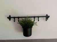 Ikea Hultarp Stange+  Behälter + Pflanze ,… Kr. München - Haar Vorschau