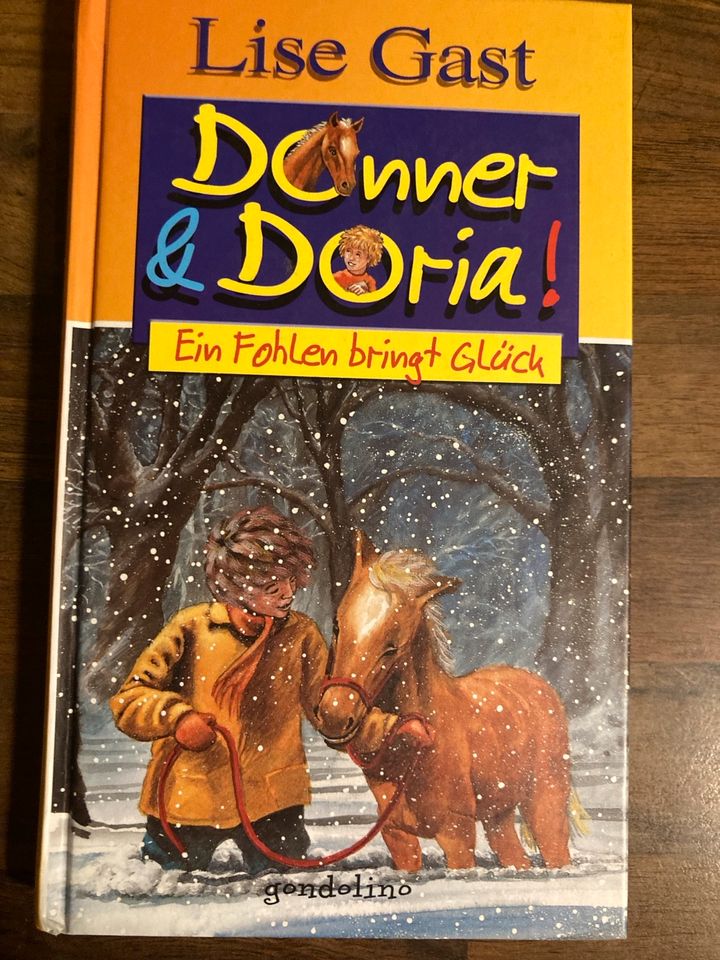 Buch „Donner & Doria ein Fohlen bringt Glück“ Pferde in Heidelberg