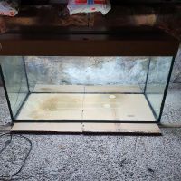 Warmwasseraquarium 250Ltr. komplett Baden-Württemberg - Buchen (Odenwald) Vorschau