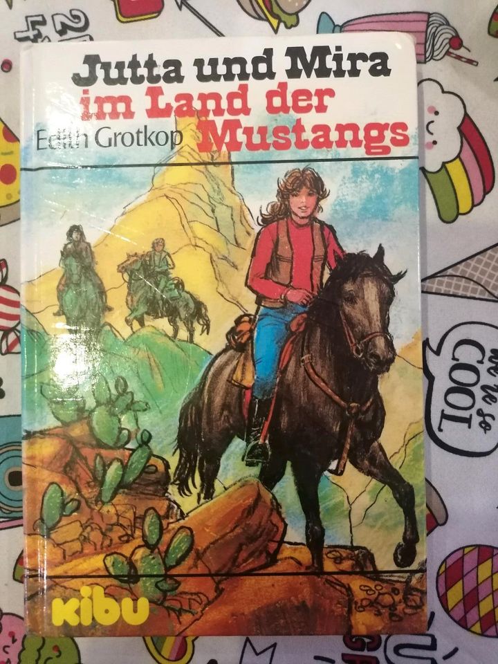 Altes Buch / Rarität/ Der Kapitän der alten Schildkröte!Nostalgie in Zirchow