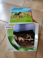 Schleich Ponykutsche Kutsche Pferde Pferdekoppel 42391 neu Sachsen-Anhalt - Landsberg (Saalekreis) Vorschau