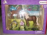 Schleich Horse Club Lisa und Storm, Reiterin mit Island Ponys NEU Bayern - Burgoberbach Vorschau