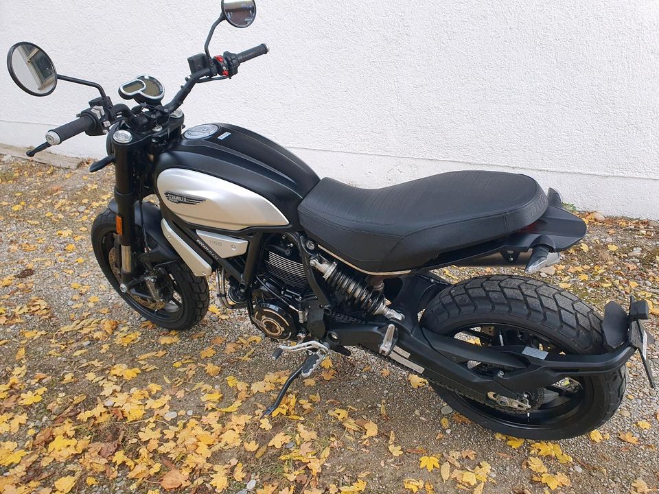 Ducati Scrambler 1100 pro in Hohenschäftlarn