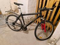 26iger Mountainbike mit Anhänger Sachsen - Radebeul Vorschau