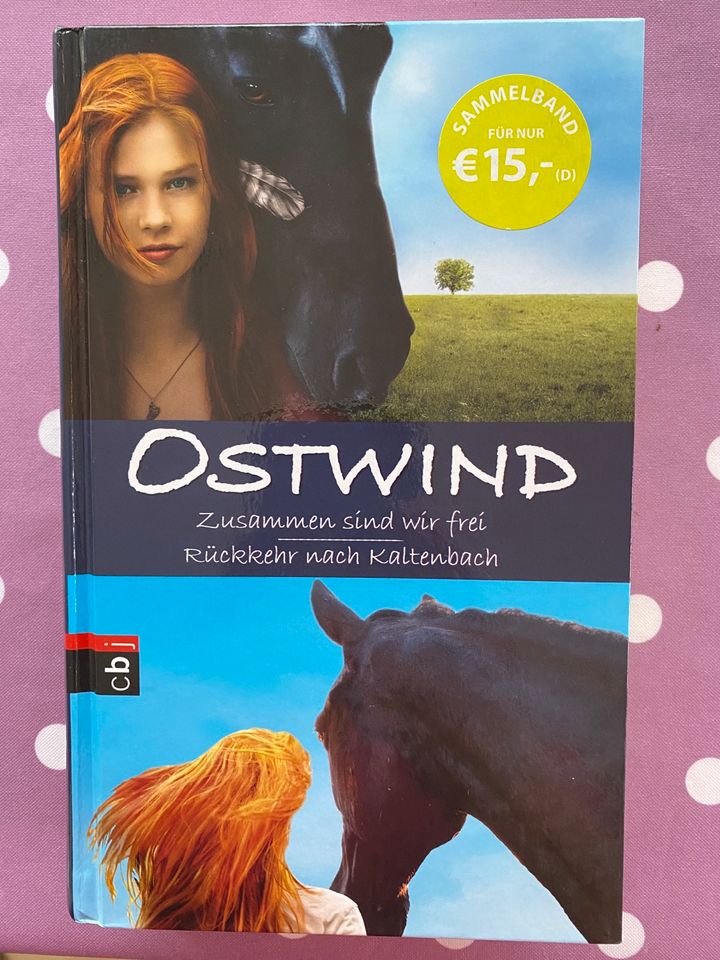 Buch „Ostwind“ Teil 1+2 in Berlin - Pankow | eBay Kleinanzeigen ist jetzt  Kleinanzeigen