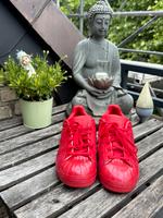 Adidas Superstar Rot  Größe 40 !!inklusive Versand. Mülheim - Köln Stammheim Vorschau