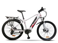 PowerPac Mountainbike 27,5" PEDELEC ELEKTROFAHRRAD E-Bike Fahrrad Hessen - Kronberg im Taunus Vorschau