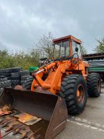 Schlachte IHC Radlader D60H Payloader Bayern - Moorenweis Vorschau