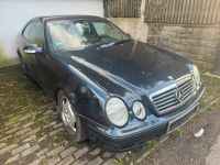 TEILE! Mercedes CLK 200 MB W208 Schlachtfest Teileträger Bayern - Immenstadt Vorschau