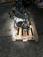 Motor Audi VW 2.0 TDI CFF CFFB SHARAN TOURAN PASSAT GOLF 140PS Berlin - Wilmersdorf Vorschau