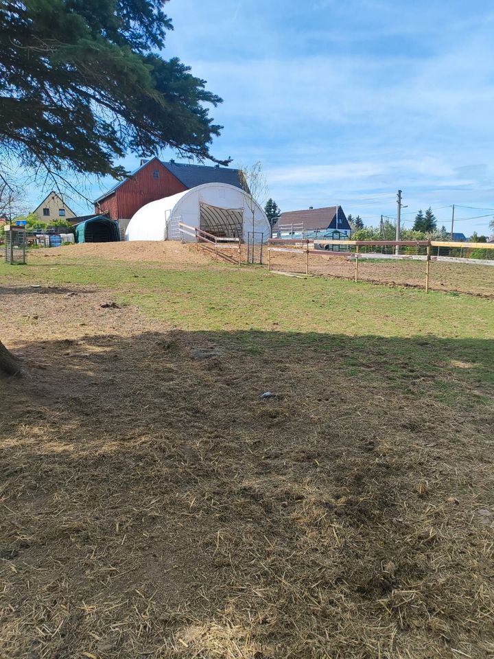 9,00 x 10,00 Meter - Weiß - Leichtbauhalle - Keine Genehmigung notwendig - Statik - Wetterfest - Sehr stabil - Hohe Schneelast - Fundament wird nicht benötigt - Rundbogenhalle Mehrzweckhalle Depot in Hamburg