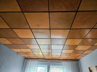 Deckenplatten Holz Paneele Verkleidung DDR Sachsen-Anhalt - Magdeburg Vorschau