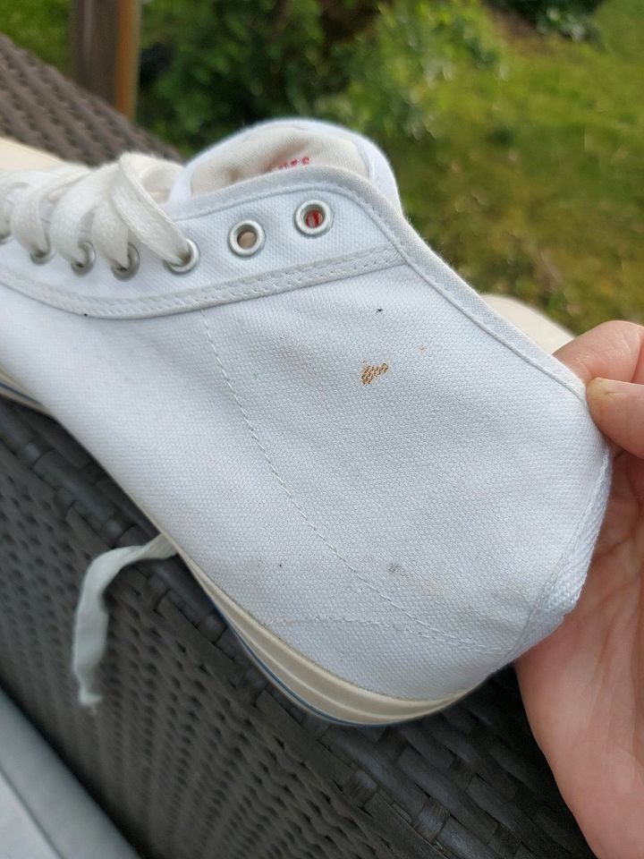 Sportschuhe wie Converse oder Chucks in Königs Wusterhausen