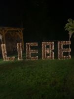 LIEBE Schild, Hochzeitsdeko, LIEBE Schriftzug, LOVE Niedersachsen - Warmsen Vorschau