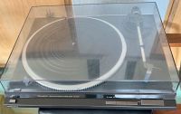 Technics SL-QD33 Plattenspieler Niedersachsen - Lüneburg Vorschau