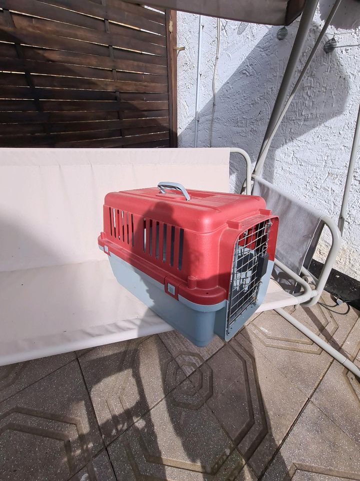 Transport Box kleine Hunde oder Katzen in Borken