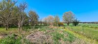 Baugrundstück für Naturliebhaber – Wohngebiet Klein Döbbern Neuhausen/Spree - Klein Döbbern Vorschau