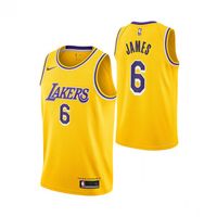 Lakers NBA Trikot James #6 Icon Edition Bayern - Flintsbach am Inn Vorschau