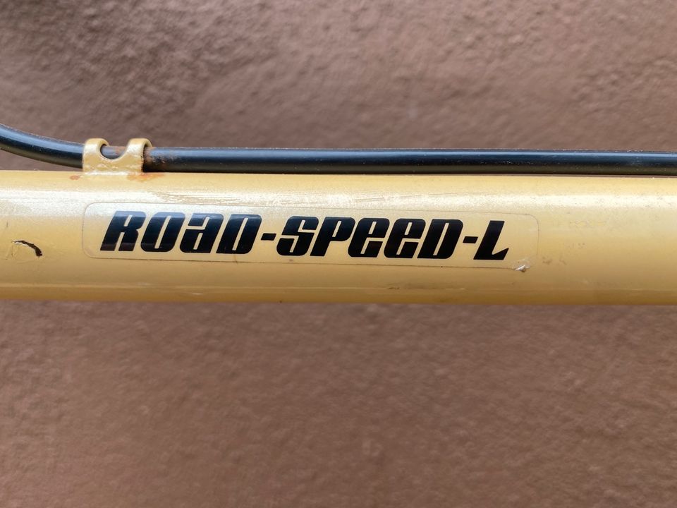 Koga Miyata Road Speed-L Rennrad Originalzustand RH 56 Klassiker in Elz