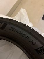 Michelin 265/45 R 20 Pilot Alpin Stuttgart - Stuttgart-Ost Vorschau