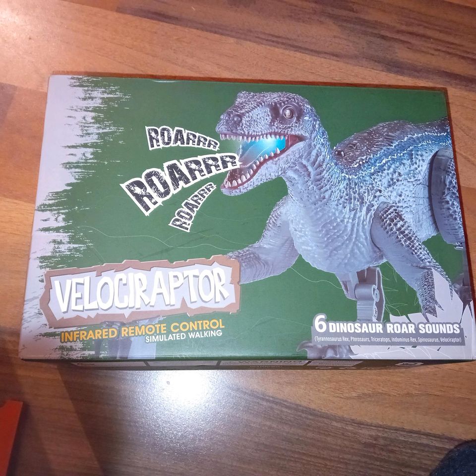 Ferngesteuerter Raptor in Elkenroth