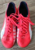 Puma Evo Speed wie neu, Größe entspricht 39-40 Wandsbek - Hamburg Bergstedt Vorschau
