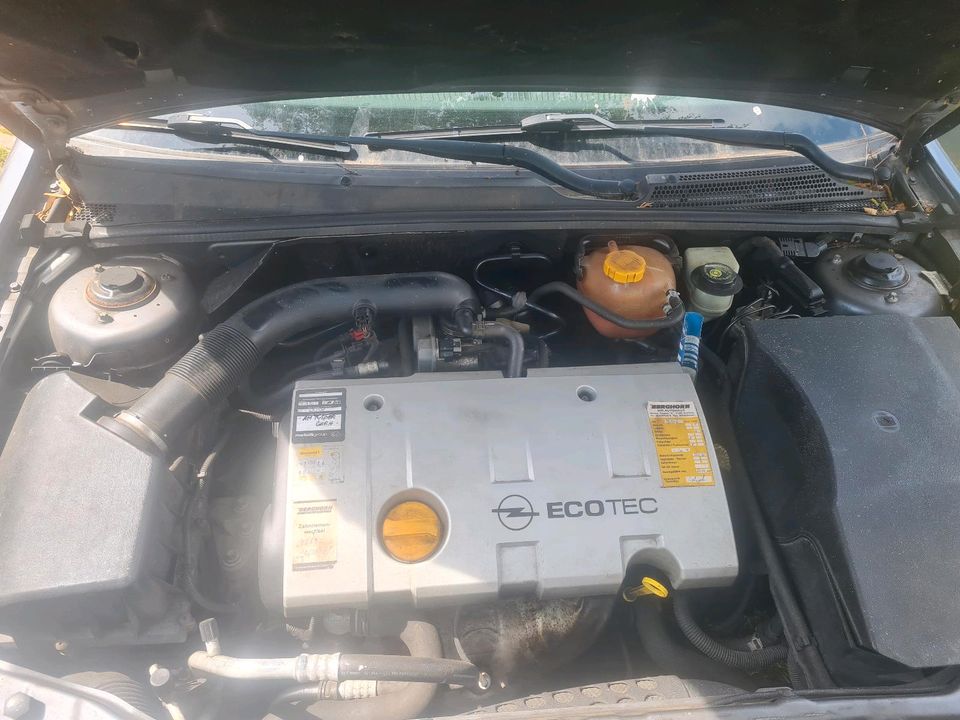 Opel vectra 1.6 L in Rahden