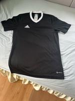 Adidas Herren Trikot Entrada 22 schwarz neu Brandenburg - Teltow Vorschau