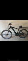 E Mountainbike e Cube Reaction BLACK Gr. M 1.700km TOP Baden-Württemberg - Malsch Vorschau