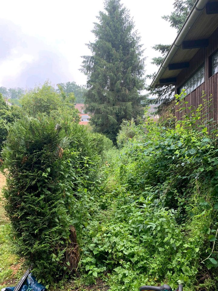 Gärtner. Biete Arbeiten rund ums Haus, Hof und Garten an in Saarbrücken