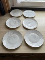 Rosenthal Form 2000 Kuchen teller Dekor Gräser 6 Stück Bremen - Blumenthal Vorschau