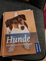 Hunde erziehen und beschäftigen Sachsen - Görlitz Vorschau