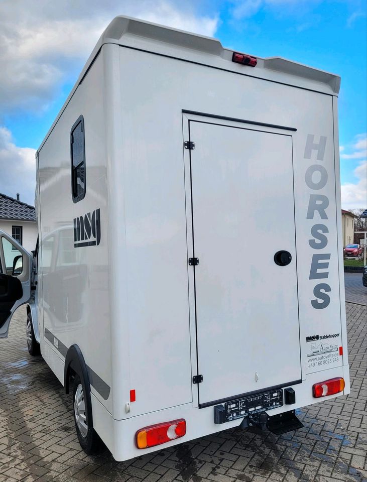 Pferdetransporter für 2 Pferde mit viel Nutzlast 3500kg MSG 2-er in Göttingen