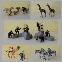 Playmobil: Löwen - Giraffen - Schimpansen - Dromedar - Zebras Schleswig-Holstein - Glückstadt Vorschau