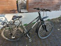 Damenfahrrad Steppenwolf Timber Bayern - Forchheim Vorschau