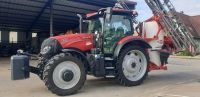 TRAKTOR - CASE MAXXUM 125 CVX DRIVE - Baden-Württemberg - Neuenburg am Rhein Vorschau